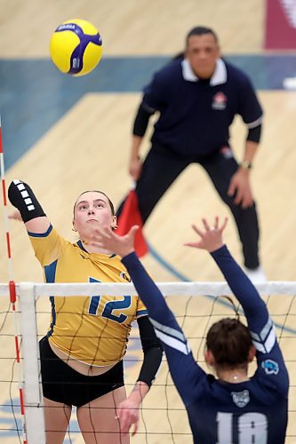 02022024
Avery Burgar #12 of the Brandon University Bobcats spikes the ball past Jessica Osczevski #18 of the Mount Royal University Cougars during women&#x2019;s university volleyball action at the BU Healthy Living Centre on Friday evening.
(Tim Smith/The Brandon Sun)