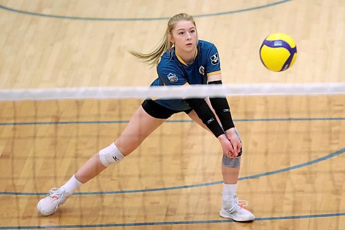 02022024
Brooklyn Pratt #3 of the Brandon University Bobcats digs the ball during women&#x2019;s university volleyball action against the Mount Royal University Cougars at the BU Healthy Living Centre on Friday evening.
(Tim Smith/The Brandon Sun)