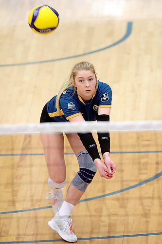 02022024
Brooklyn Pratt #3 of the Brandon University Bobcats digs the ball during women&#x2019;s university volleyball action against the Mount Royal University Cougars at the BU Healthy Living Centre on Friday evening.
(Tim Smith/The Brandon Sun)