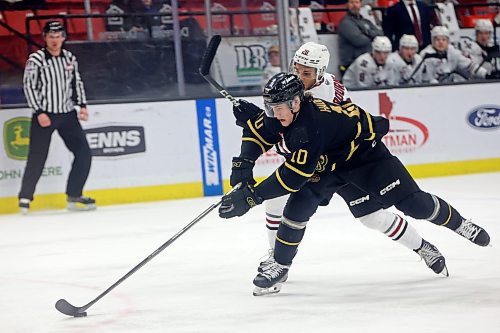 02022024
Caleb Hadland #10 of the Brandon Wheat Kings tries to keep the puck ahead of Quentin Bourne #28 of the Red Deer Rebels during WHL action at Westoba Place on Friday evening.
(Tim Smith/The Brandon Sun)