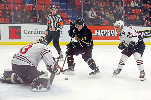 02022024
Caleb Hadland #10 of the Brandon Wheat Kings takes a shot on netminder Chase Wutzke #33 of the Red Deer Rebels as Rebels Quentin Bourne #28 looks on during WHL action at Westoba Place on Friday evening.
(Tim Smith/The Brandon Sun)