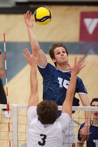 02022024
Philipp Lauter #15 of the Brandon University Bobcats spikes the ball during university men&#x2019;s volleyball action against the Mount Royal University Cougars at the BU Healthy Living Centre on Friday evening.
(Tim Smith/The Brandon Sun)