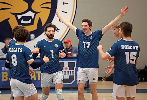 02022024
Brandon University Bobcats players celebrate a point during university men&#x2019;s volleyball action against the Mount Royal University Cougars at the BU Healthy Living Centre on Friday evening.
(Tim Smith/The Brandon Sun)