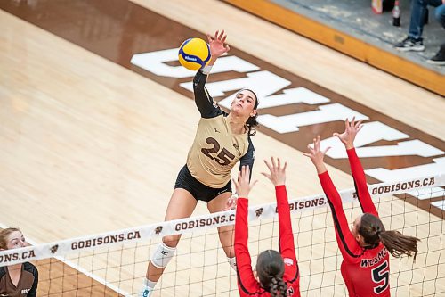 BROOK JONES / WINNIPEG FREE PRESS
The University of Manitoba Bisons host the visiting University of Winnipeg Wesmen in Canada West women's volleyball action at the Investors Group Athletic Centre at the University of Manitoba Fort Garry campus in Winnipeg, Man., Friday Feb. 2, 2024. Pictured: Bisons left side Raya Surinx (No. 25) spikes the volleyball while Wesmen middle blocker Grace Vallis and Wesmen left side Selva Planincic (No. 19) jump to attempt a block during second set action.