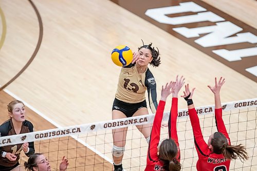 BROOK JONES / WINNIPEG FREE PRESS
The University of Manitoba Bisons host the visiting University of Winnipeg Wesmen in Canada West women's volleyball action at the Investors Group Athletic Centre at the University of Manitoba Fort Garry campus in Winnipeg, Man., Friday Feb. 2, 2024. Pictured: Bisons left side Andi Almonte (No. 13) spikes the volleyball during second set action.