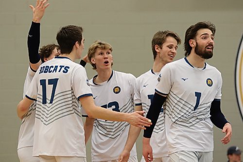 The Brandon University Bobcats turn towards the official, disagreeing with a call during their match against the Mount Royal Cougars in Canada West men's volleyball action at the Healthy Living Centre on Saturday. (Thomas Friesen/The Brandon Sun)