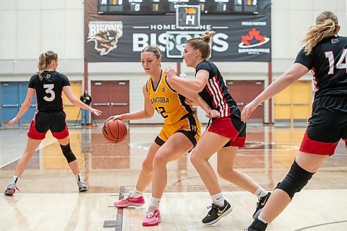 BROOK JONES / WINNIPEG FREE PRESS
The University of Manitoba Bisons host the visiting University of Winnipeg Wesmen in Canada West women's basketball action at the Investors Group Athletic Centre at the University of Manitoba Fort Garry campus in Winnipeg, Man., Saturday, Feb. 3, 2024. Pictured: Bisons forward Emerson Martin (No. 12) controls the basketball while Wesmen guard Tamiya Ness (No. 6) guards her during first half action.