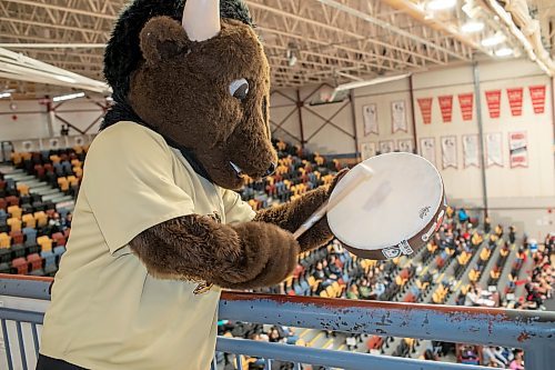 BROOK JONES / WINNIPEG FREE PRESS
The University of Manitoba Bisons host the visiting University of Winnipeg Wesmen in Canada West women's basketball action at the Investors Group Athletic Centre at the University of Manitoba Fort Garry campus in Winnipeg, Man., Saturday, Feb. 3, 2024. Pictured: U of M sports team mascot Billy the Bison beats a drum while encouging home team fans to cheer on the herd.