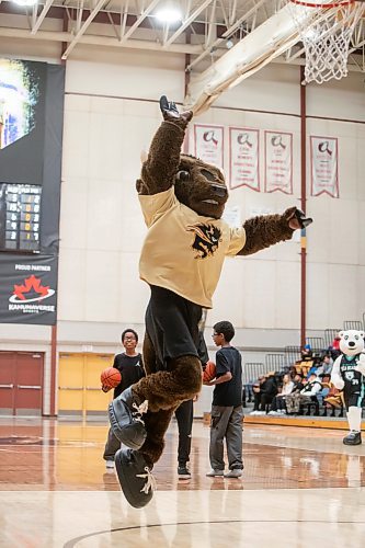 BROOK JONES / WINNIPEG FREE PRESS
The University of Manitoba Bisons host the visiting University of Winnipeg Wesmen in Canada West women's basketball action at the Investors Group Athletic Centre at the University of Manitoba Fort Garry campus in Winnipeg, Man., Saturday, Feb. 3, 2024. Pictured: U of M sports team mascot Billy the Bison tries his best basketball dunk move during a break in action on the court.