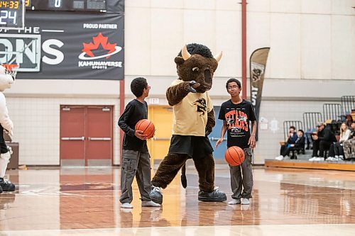 BROOK JONES / WINNIPEG FREE PRESS
The University of Manitoba Bisons host the visiting University of Winnipeg Wesmen in Canada West women's basketball action at the Investors Group Athletic Centre at the University of Manitoba Fort Garry campus in Winnipeg, Man., Saturday, Feb. 3, 2024. Pictured: U of M sports team mascot Billy the Bison (middle) gives instructions to 13-year-old twin brothers Jeremya Ortiz (left) and Jasaya (right) before their attempt to sink basketballs during a break in action on the court.