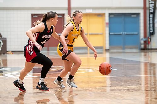 BROOK JONES / WINNIPEG FREE PRESS
The University of Manitoba Bisons host the visiting University of Winnipeg Wesmen in Canada West women's basketball action at the Investors Group Athletic Centre at the University of Manitoba Fort Garry campus in Winnipeg, Man., Saturday, Feb. 3, 2024. Pictured: Bisons guard Lauren Bartlett (No. 5) controls the basketball while Wesmen guard Tana Layton (No. 4) gives chase during first half action.