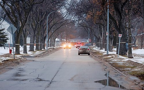 MIKE DEAL / WINNIPEG FREE PRESS
Fleet Avenue like most streets in Winnipeg has no snow on the street and the city isn&#x2019;t doing any snow clearing &#x2026; so why are they still handing out parking tickets and towing vehicles?
240205 - Monday, February 05, 2024.