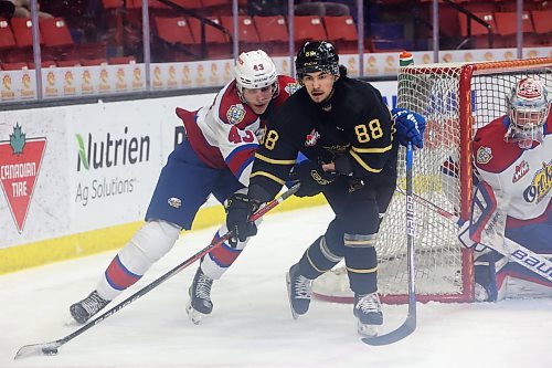 07022024
Matteo Michels #88 of the Brandon Wheat Kings tries to keep the puck away from Adam Jecho #43 of  the Edmonton Oil Kings during WHL action at Westoba Place on Wednesday evening.
(Tim Smith/The Brandon Sun)