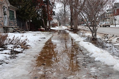 A section of the northbound sidewalk near Rue St. Jean Baptiste in the Central St. Boniface neighbourhood was covered in slick ice and pools of water Wednesday afternoon, forcing pedestrians to step onto the roadway to avoid the mess. (Tyler Searle / Winnipeg Free Press)
