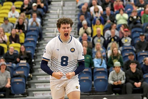 Jens Watt is one of three Brandon University Bobcats men's volleyball players entering their final regular season weekend on home court tonight. (Thomas Friesen/The Brandon Sun)