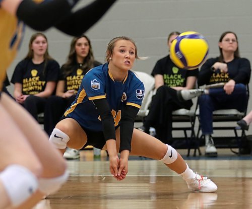 Brianne Stott digs a ball during the Brandon University Bobcats women's volleyball match against the Thompson Rivers WolfPack at the Healthy Living Centre on Friday. (Thomas Friesen/The Brandon Sun)