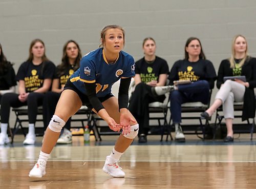 Brianne Stott prepares to dig a ball during the Brandon University Bobcats women's volleyball match against the Thompson Rivers WolfPack at the Healthy Living Centre on Friday. (Thomas Friesen/The Brandon Sun)