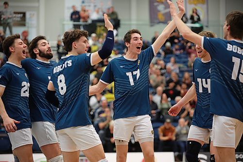 Brandon University Bobcats players celebrate a point during university men’s volleyball action against the Thompson Rivers University WolfPack at the Healthy Living Centre on Friday evening. 
(Tim Smith/The Brandon Sun)