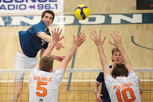 09022024
Riley Grusing #17 of the Brandon University Bobcats spikes the ball during university men&#x2019;s volleyball action against the Thomson Rivers University Wolfpack at the BU Healthy Living Centre on Friday evening. 
(Tim Smith/The Brandon Sun)