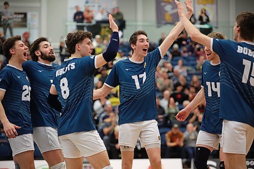 09022024
Brandon University Bobcats players celebrate a point during university men’s volleyball action against the Thomson Rivers University Wolfpack at the BU Healthy Living Centre on Friday evening. 
(Tim Smith/The Brandon Sun)