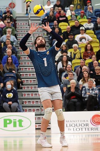 09022024
J.J. Love #1 of the Brandon University Bobcats sets the ball during university men&#x2019;s volleyball action against the Thomson Rivers University Wolfpack at the BU Healthy Living Centre on Friday evening. 
(Tim Smith/The Brandon Sun)