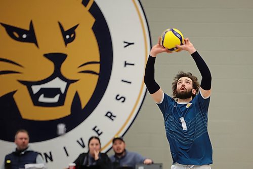 09022024
J.J. Love #1 of the Brandon University Bobcats sets the ball during university men&#x2019;s volleyball action against the Thomson Rivers University Wolfpack at the BU Healthy Living Centre on Friday evening. 
(Tim Smith/The Brandon Sun)