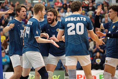 09022024
Brandon University Bobcats players celebrate a point during university men’s volleyball action against the Thomson Rivers University Wolfpack at the BU Healthy Living Centre on Friday evening.
(Tim Smith/The Brandon Sun)
