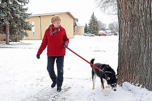 12022024
Jo-Anne Douglas and her dog Hayden during their walk along McDiarmid Drive on Monday. Douglas often picks up litter while on her daily walks with Hayden. 
(Tim Smith/The Brandon Sun)