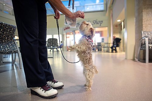 14022024
Ngaire Abernethy offers her dog Koki a treat while visting the hospital on Wednesday evening.
(Tim Smith/The Brandon Sun)