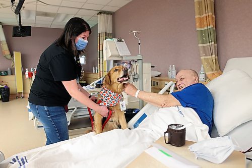 14022024
Brandi Morton and Murphy with PATDogs, Prairie Area Therapy Dogs, visit with Steve Yaroway in the hospital's dialysis centre on Wednesday evening.
(Tim Smith/The Brandon Sun)