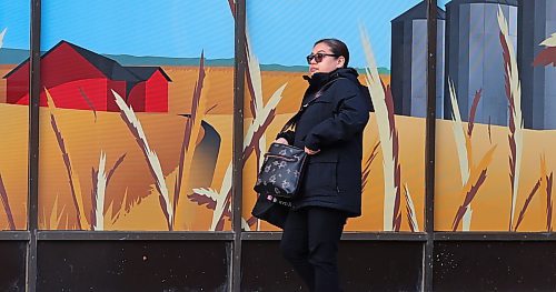 15022024
A woman walks past a window mural for Scotiabank on Rosser Avenue on a cold Thursday. (Tim Smith/The Brandon Sun)