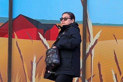 15022024
A woman walks past a window mural for Scotiabank on Rosser Avenue on a cold Thursday.
(Tim Smith/The Brandon Sun)