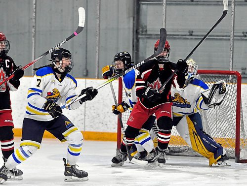 Sophomore forward Reese Schutte (7) helps clear out opponents screening her goalie Danica Averill during a Winnipeg Avros power-play in Harney. (Jules Xavier/The Brandon Sun)