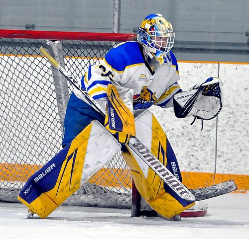 Westman Wildcats rookie goaltender Danica Averill will be counted on to stymie opposing snipers when the playoffs start with a home game on Feb. 24 in Hartney. (Jules Xavier/The Brandon Sun)