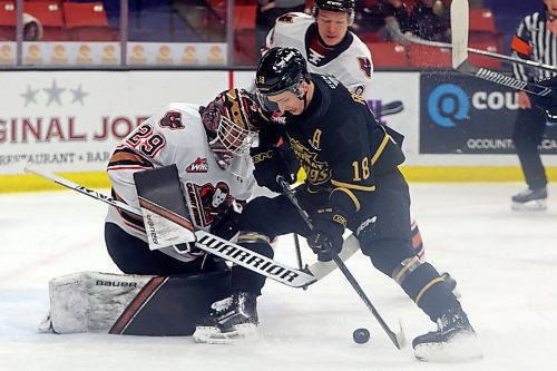 Rylen Roersma of the Brandon Wheat Kings tries to get the puck past netminder Ethan Buenaventura (29) of the Calgary Hitmen during WHL action at Westoba Place on Friday evening. See story on Page B1. (Tim Smith/The Brandon Sun)