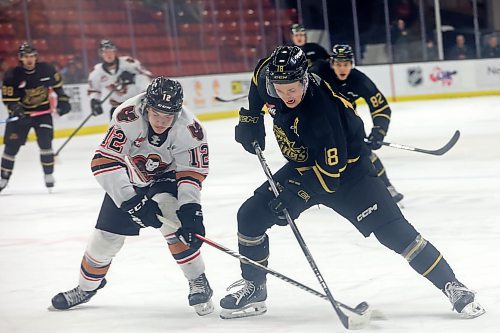 16022024
Rylen Roersma #18 of the Brandon Wheat Kings scrambles for the puck with Wyatt Pisarczyk #12 of the Calgary Hitmen during WHL action at Westoba Place on Friday evening. (Tim Smith/The Brandon Sun)