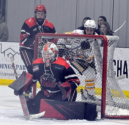 Second-team all-star goaltender Micky Gross (30) with the Southwest Cougars. (Jules Xavier/The Brandon Sun)