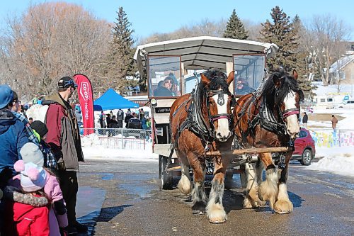 A horse-drawn sleigh pulls up to Brandon's Community Sportsplex Saturday afternoon to take another group of families out for a tour of the city's north end. This sleigh ride was one of several free activities that Westman families could take part in during this year's Winter Fest celebration. (Kyle Darbyson/The Brandon Sun) 