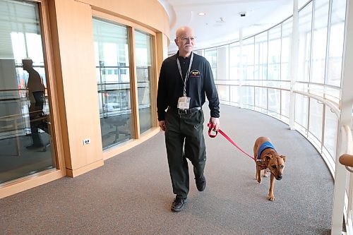 14022024
Keith Smith and Sadie with PATDogs, Prairie Area Therapy Dogs make rounds through the Brandon Regional Health Centre on a Wednesday morning.(Tim Smith/The Brandon Sun)