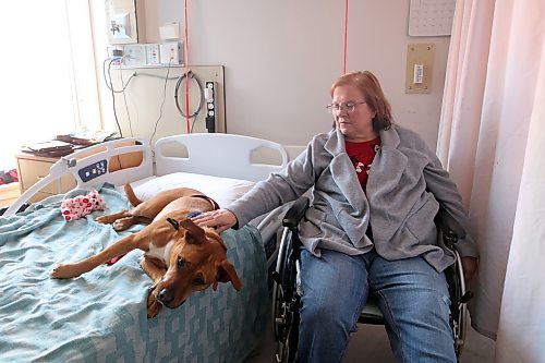 14022024
Keith Smith and Sadie with PATDogs, Prairie Area Therapy Dogs, visit with Margaret Murray in her room in the Brandon Regional Health Centre on a Wednesday morning, while making rounds through the hospital.
(Tim Smith/The Brandon Sun)