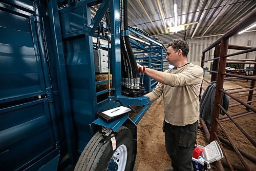 Norman Berlinic, of Saskatchewan-based Berlinic Manufacturing, operates a portable corral for bison that his company manufactures while unloading a heffer at the Keystone Centre's Westoba Agriculture Centre of Excellence on Thursday, in advance of the No Borders Show, Sale &amp; Convention 2024 this weekend. (Matt Goerzen/The Brandon Sun)