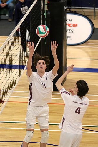 ACC's Dante Wilson sets against the Providence Pilots in their MCAC men's volleyball semifinal in Niverville on Saturday. (Thomas Friesen/The Brandon Sun)