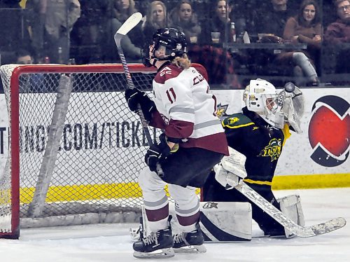 Assiniboine Community College Cougars forward Kasey Fouiliard (11) was robbed on a scoring chance by the glove hand of North Dakota State Bison goaltender Rithina Chittajaw during second period action at J&G Homes Arena. (Jules Xavier/The Brandon Sun)