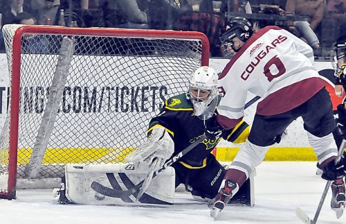 Assiniboine Community College Cougars forward Keely Emms-Finnsson (8) was stopped with a pad save by North Dakota State Bison goalie Rithina Chittajaw during second period action at J&G Homes Arena. (Jules Xavier/The Brandon Sun)