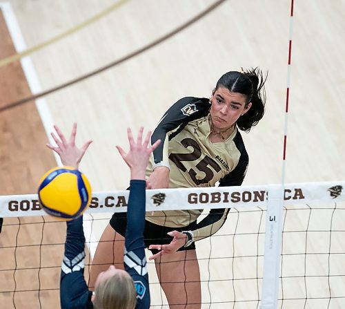 BROOK JONES / WINNIPEG FREE PRESS
The University of Manitoba Bisons play host to the visiting Mount Royal Cougars in Canada West women's volleyball action inside Investors Group Athletic Centre at the University of Manitoba Fort Garry campus in Winnipeg, Man., Friday, Nov. 17, 2023. The Bisons earned a 3-0 (25-13, 25-19, 25-21) victory over the Cougars. Pictured: U of M Bisons left side Raya Surinx (No. 25) spikes the volleyball during second set action.