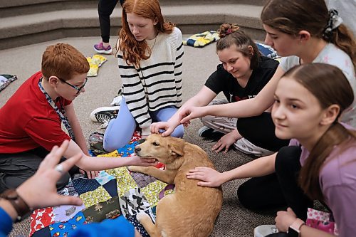 Star, a young canine from the Brandon Humane Society, gets some love from students while he rests one of the blankets they made. (Matt Goerzen/The Brandon Sun)