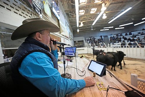 Ward Cutler, an auctioneer with Heartland Livestock Services, calls out the bids for a group of heifers in the show ring during an auction on Thursday afternoon. (Matt Goerzen/The Brandon Sun)