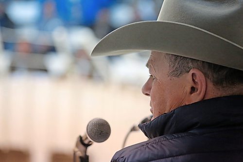 Ward Cutler, an auctioneer with Heartland Livestock Services, calls out the bids for a group of heifers in the show ring during an auction on Thursday afternoon. (Matt Goerzen/The Brandon Sun)