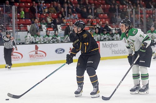 Brandon Wheat Kings Nolan Flamand stops after a possible breakaway was whistled down against the Prince Albert Raiders in Western Hockey League action at Westoba Place on Friday. (Thomas Friesen/The Brandon Sun)