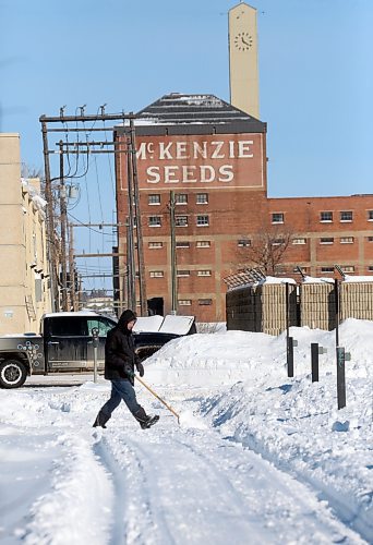 A man shovels a backlane driveway on Monday morning south of the old McKenzie Seeds building downtown, following a weekend blizzard that Environment Canada says dropped nearly 30 cm of snow on the city. (Matt Goerzen/The Brandon Sun)